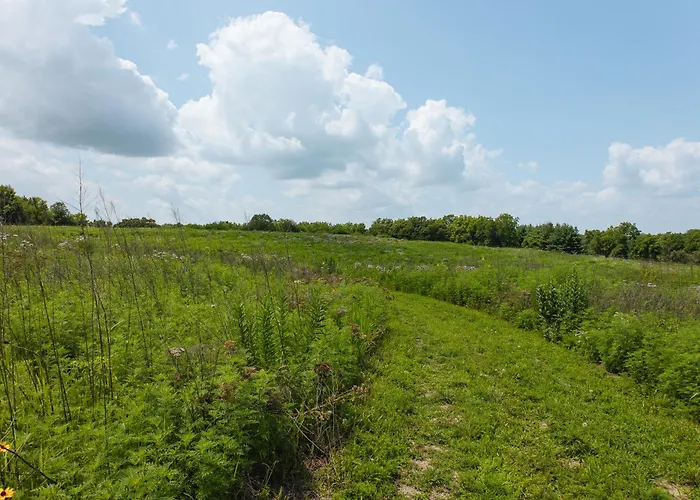 Lied Lodge At Arbor Day Farm