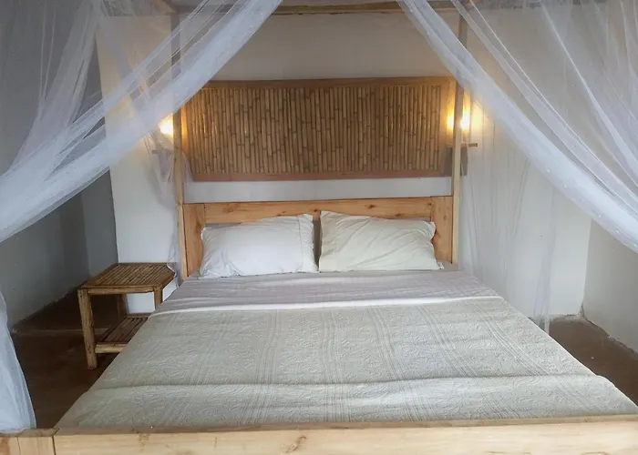 Little Monkey Camp