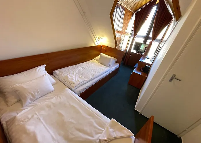 Hotel Fonix