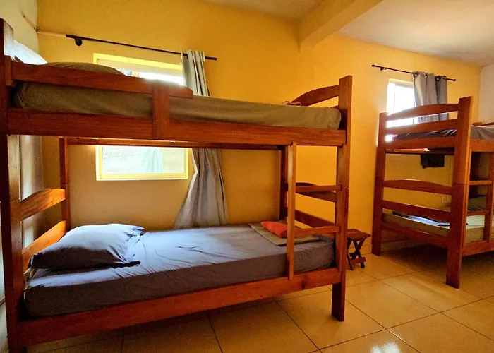 Buena Vibe Hostel