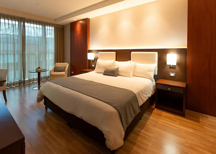 Hotel Ciudad De David