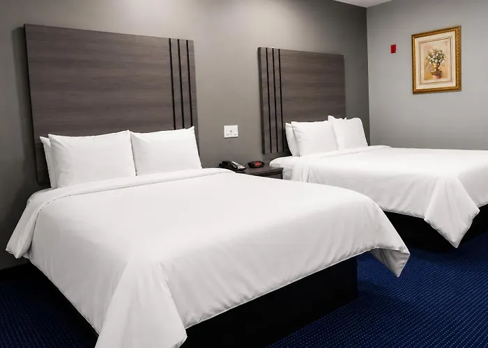 Americas Best Value Inn And Suites Bush International Airport