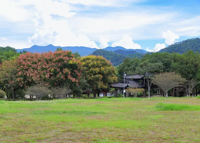 Dahongpao Resort