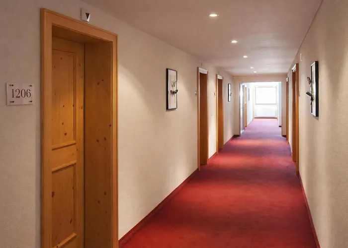 Hotel Alpina Parpan