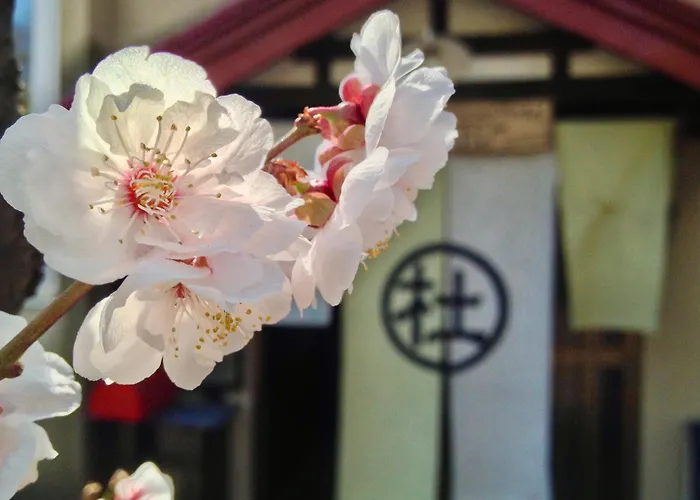 The Otaornai Backpacker'S Hostel Morinoki