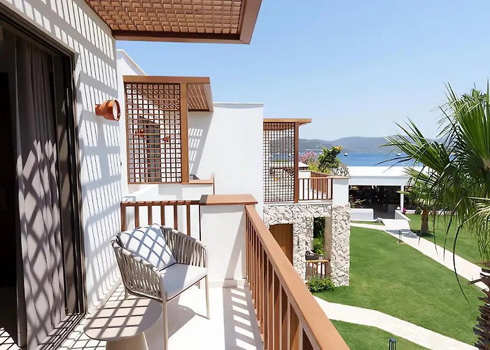 Mavi Suite Turkbuku
