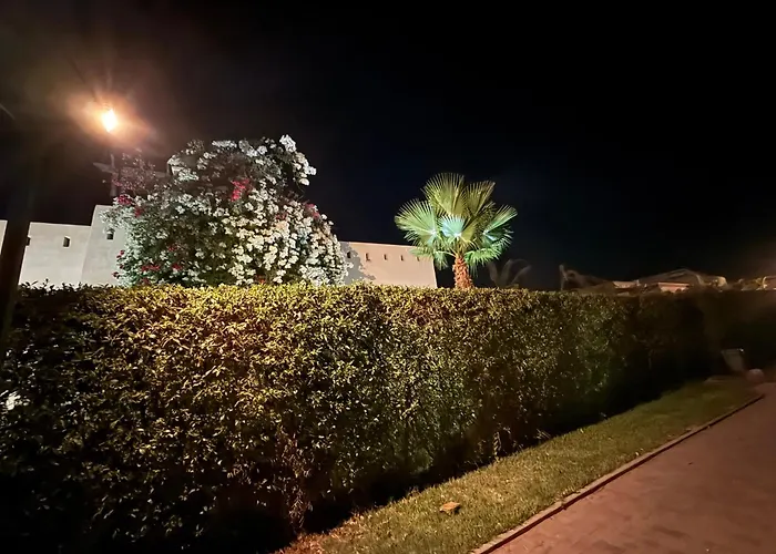 La Rose des Sables