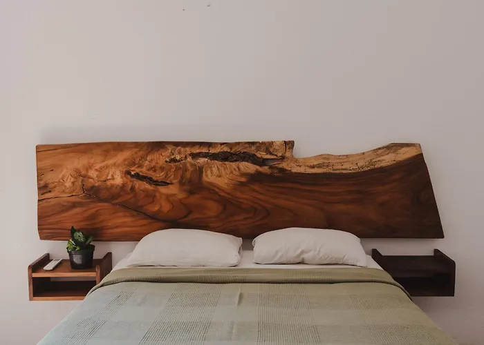 Surfnest Hostel