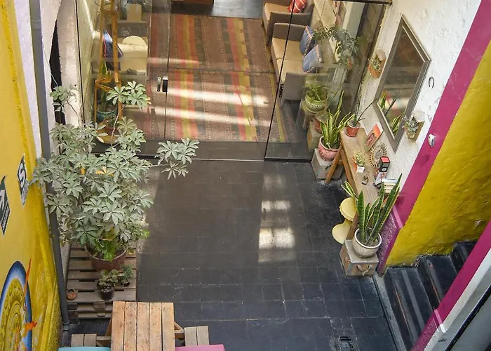Maison Verte - Budget Edition