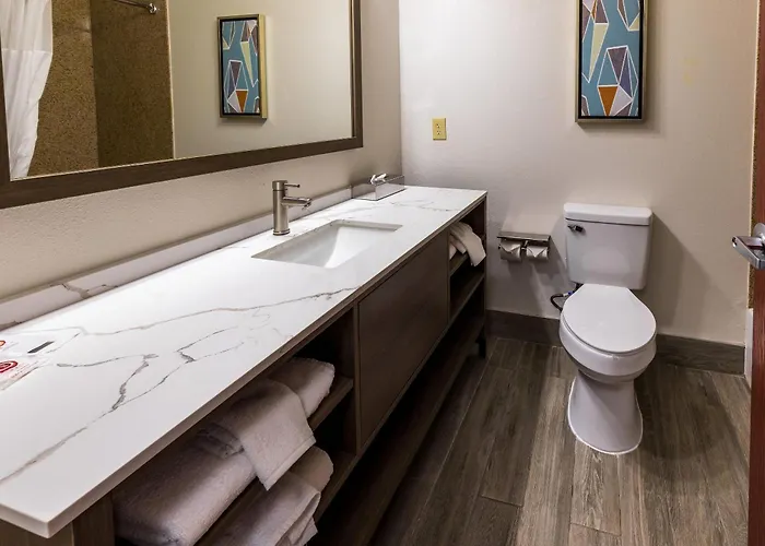 Comfort Inn & Suites New Iberia - Avery Island
