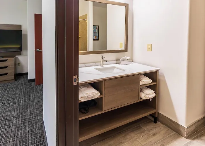 Comfort Inn & Suites New Iberia - Avery Island