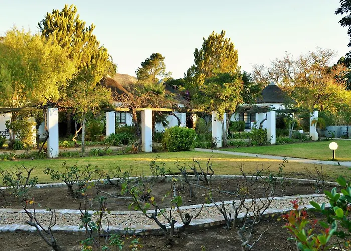 Swartberg Hotel, Cork Tree Collection