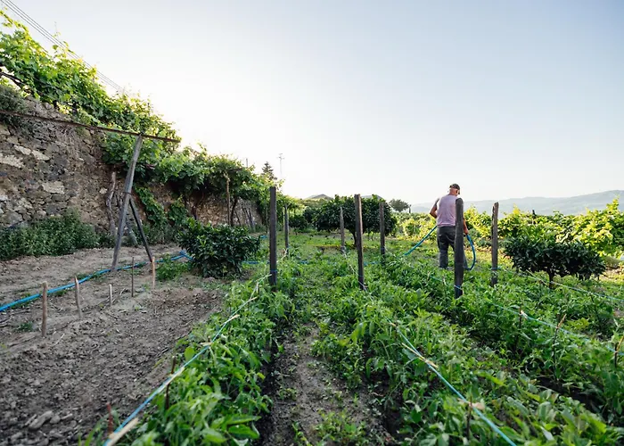 Casas Da Quinta De Santa Cruz - Douro Land
