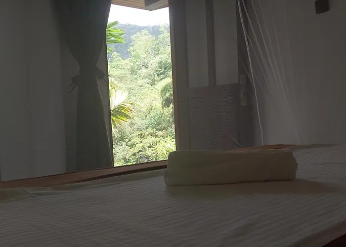 Rainforest Cabin