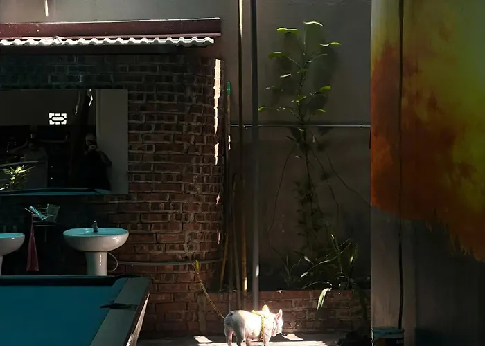 City Garden Hostel