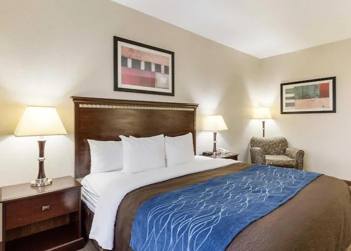 Comfort Inn & Suites Winnie