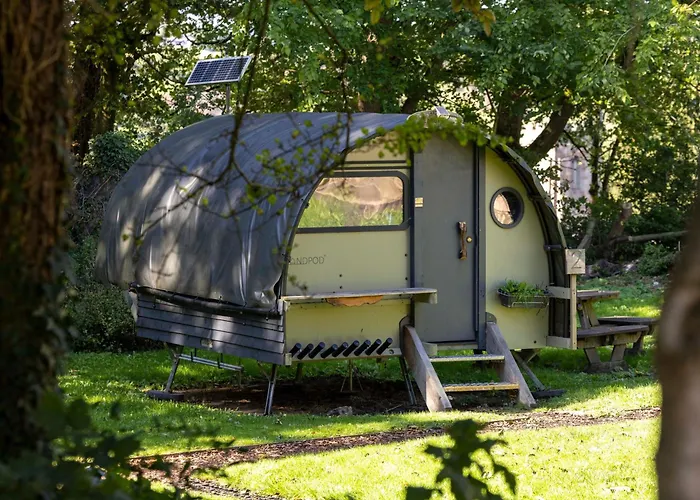 Yha New Forest