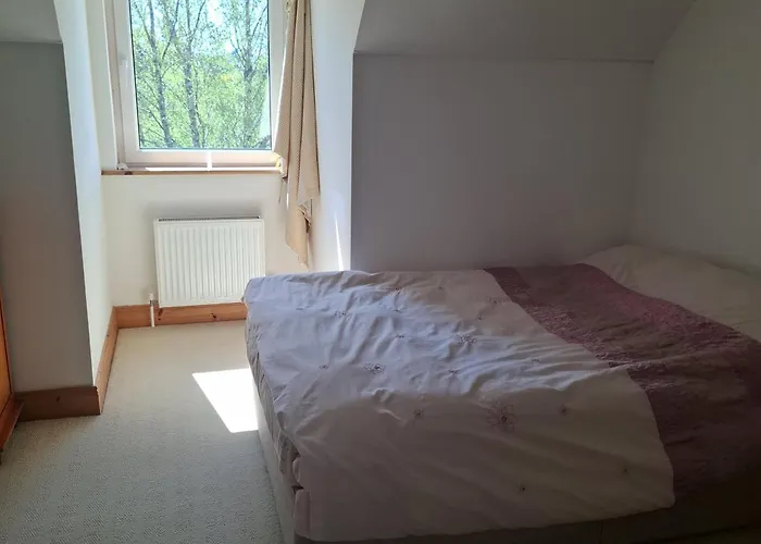 Lavender Hill Guesthouse