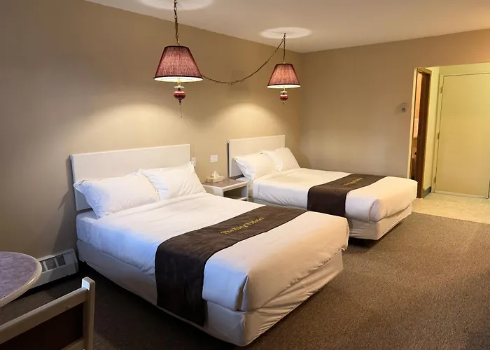 The King'S Motel