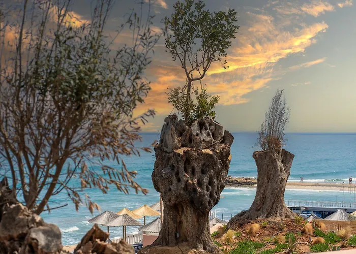 Volta Seaside Boutique Hotel