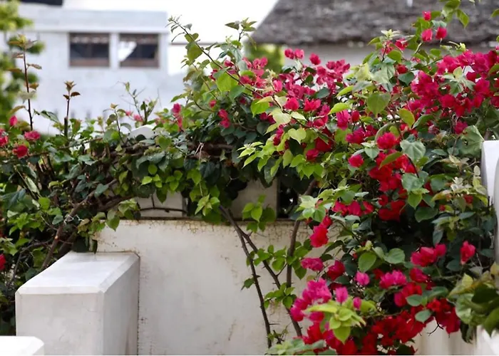 Zahir House Lamu Shella