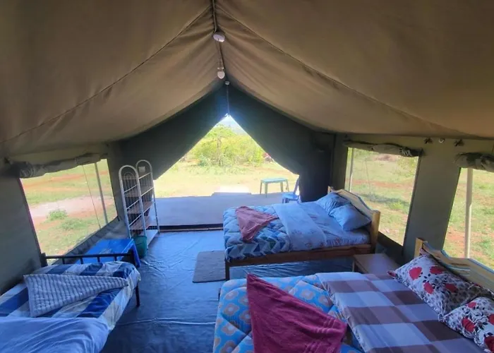 Wild Enthusiasts Camps