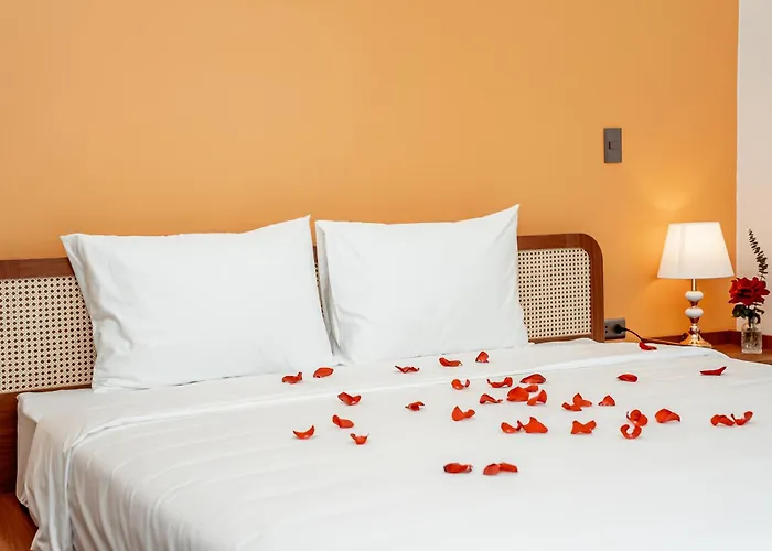Cat Boutique Hotel