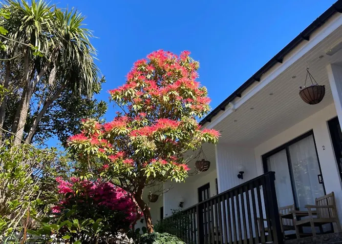 The Old Library