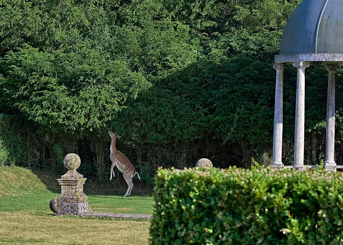 Rhinefield House Hotel