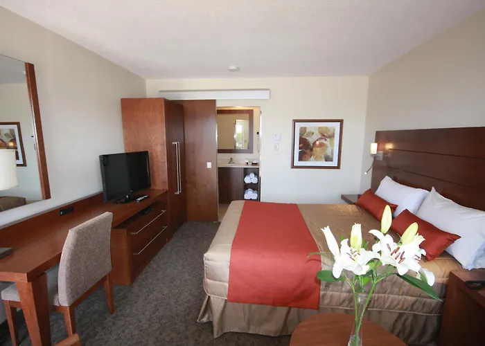 Motel Adam