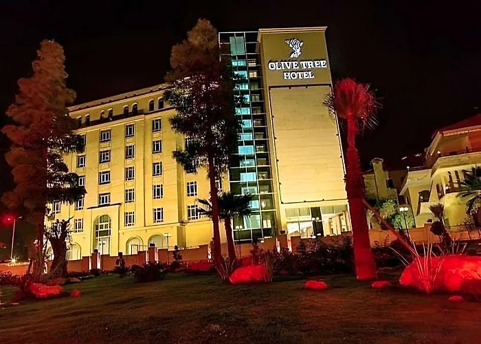 Olive Tree Amman