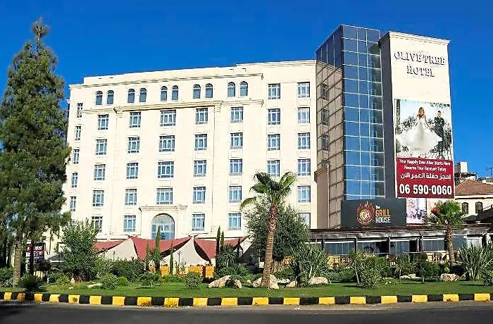 Olive Tree Amman
