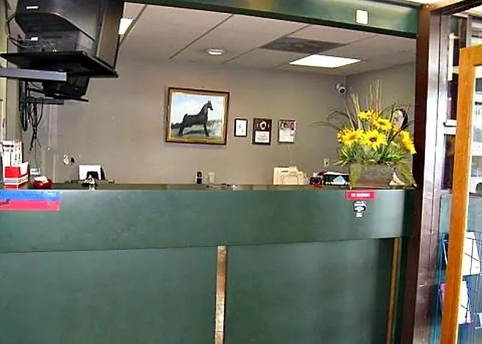 Walking Horse Lodge