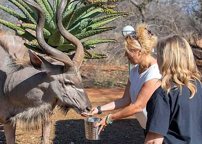 Royal Kruger Lodge And Spa 4