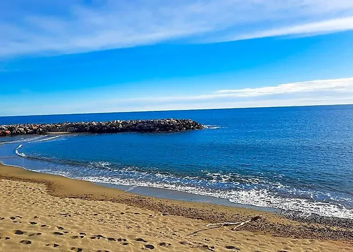 Ulvf Sainte Marie La Mer