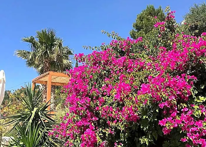 Villa With Pool Sea View Fitness