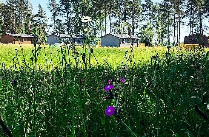 Hollicarrs - Pinewood Lodge