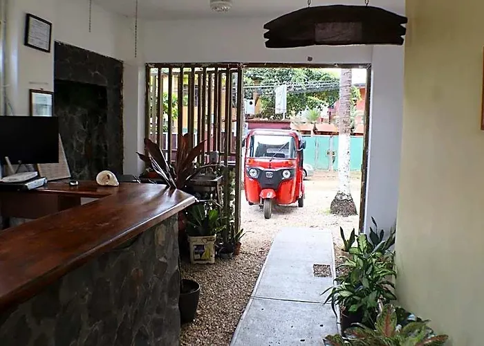 Coconut Beach House