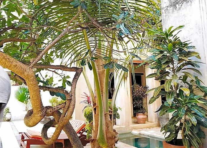 Lamu House Hotel