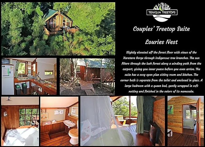 Teniqua Treetops
