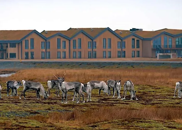 Hotel Joekulsarlon - Glacier Lagoon Hotel