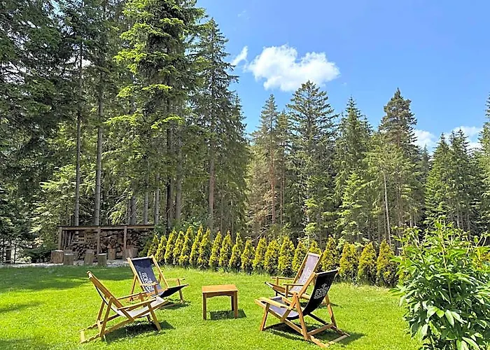 Berghof Eva - Hotel