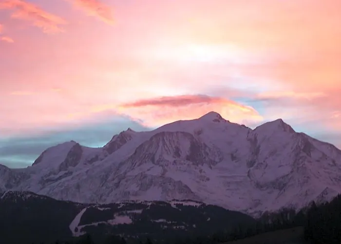 Le Chamois D'Or
