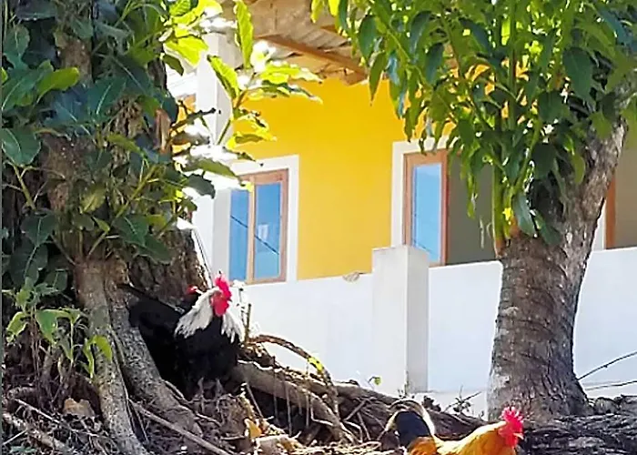 Ivos Hostel & Camping