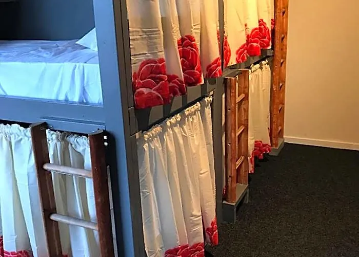 The Birds Nest Hostel