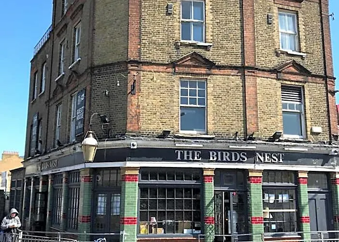 The Birds Nest Hostel