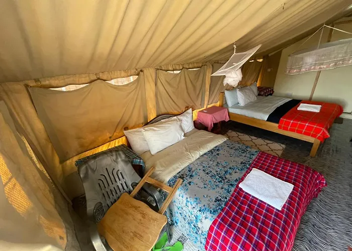 Treasure Camp