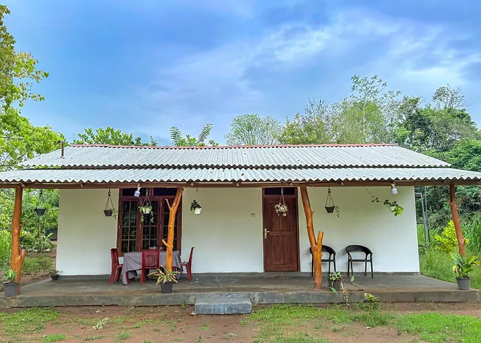 Wildheart Wilpattu Guest
