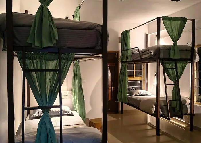 Roaming Souls Hostel Munnar