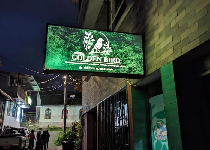 Goldenbird Mindo